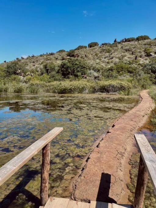 Heron Cottage - Living The Breede Malgas المظهر الخارجي الصورة